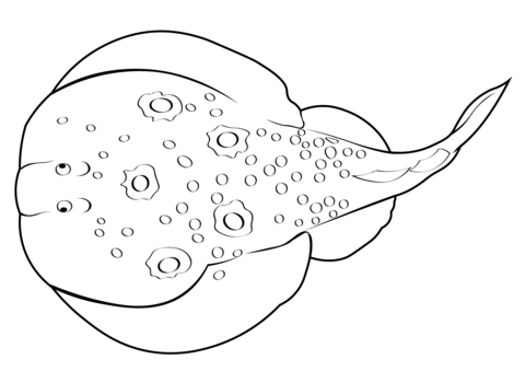 Torpedo Fish (Torpedo Torpedo) Coloring Page